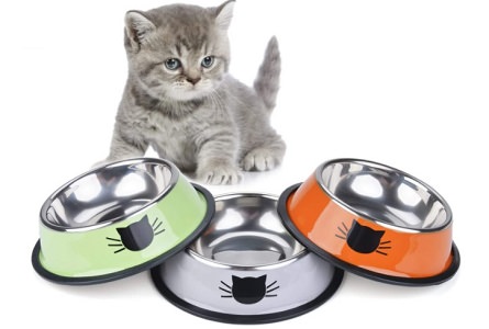 Legendog 3PCS Pet Bowl – Stainless Steel Cat Bowl