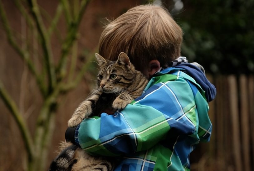 cat hug with boy owner