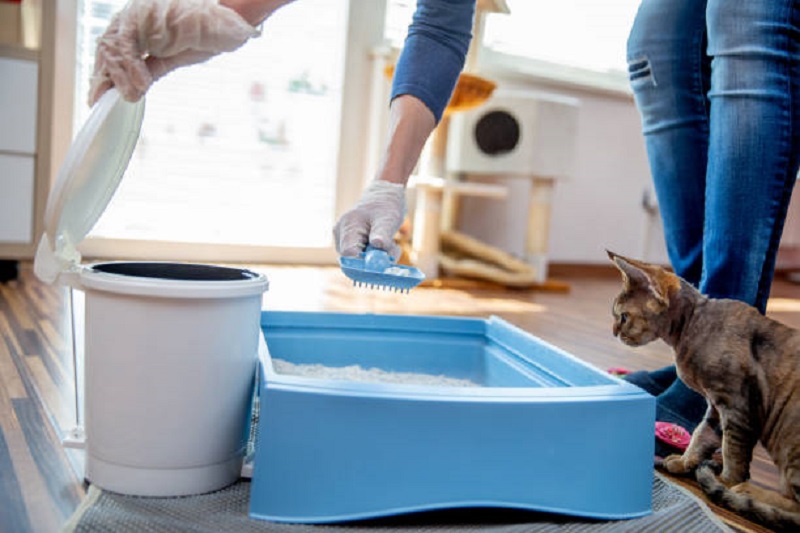 woman cleaning litter box 